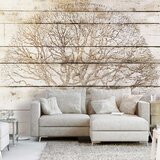  Tapeta - Tree on Boards 400x280 Cijene