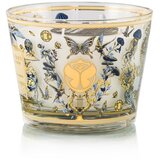 Baobab Collection My First Baobab Tomorrowland dišeča sveča 500 g | Shoptok.si