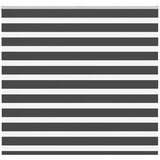 vidaXL Zavjesa zebra crna 160x100 cm širina tkanine 155,9 cm poliester | shoptok.hr