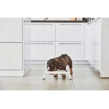 MiaCara Metalni set posuda s postoljem za pse Desco White S – | shoptok.hr