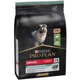 Pro Plan Medium Puppy janjetina i riža OPTIDIGEST - 2 x 3 kg | shoptok.hr