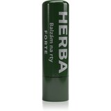 Herbadent Forte balzam za ustnice Herbal 5 ml | Shoptok.si