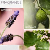 Pureology Hydrate Glow Catcher vlažilno in hranilno olje za lase 50 ml | Shoptok.si