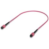 Ubiquiti UACC-OFC-MA-MPMP-0.5M-10 InfiniBand /fibre optic cable Rose | shoptok.hr