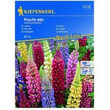 KIEPENKERL Sjeme cvijeća Vučika Pracht Mix (Lupinus polyphyllus, Raznobojna) | shoptok.hr