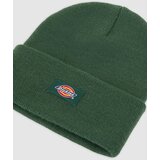 Dickies Kape 'Gibsland' jelka | Shoptok.si