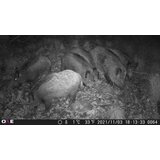 OXE Fotozamka Gepard II, lovački detektor i metalna kutija + 32GB SD karta i 6 kom baterija! | shoptok.hr