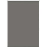 vidaXL Rolo zatemnjena siv 100x150 cm tkanina širina 95,7cm poliester | Shoptok.si