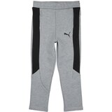 Puma EVOSTRIPE CORE PANTS Siva | shoptok.hr