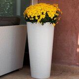 Dimartino Visoka saksija Tirso Plus 40 bela VA80W | ePonuda.com