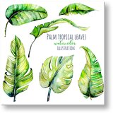  Slike na platnu sa tekstom palm tropical leaves (moderne slike) | ePonuda.com