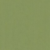  Držeće uzglavlje Zidne Svijetlo zelena 90 x 55 x 7 cm Baršun - Svijetlo zelena 80 cm bez LED | shoptok.hr