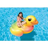  Dušek patka Intex 147x147x81cm | Eponuda.com