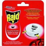 Raid Past za mravlje Raid (1 kos, 24-urno delovanje) | Shoptok.si