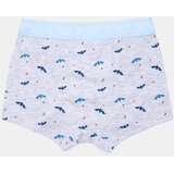 Sinsay Pamučne bokserice s motivom Noći vještica Bluey 3 pack | shoptok.hr