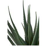 House Nordic Umetna rastlina (višina 51 cm) Aloe Vera – | Shoptok.si