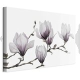 Slika - Painted Magnolias (1 Part) Wide 60x40 | shoptok.hr