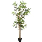  Umjetno bambusovo drvo Zelena 75,5 x 18 x 175 cm | shoptok.hr
