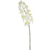 Umjetni cvijet Orhideja (Visina: 71 cm, Blanca, Plastika) | shoptok.hr