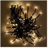 Light Creations LED svetlobna veriga (100 LED lučk, smartlight, toplo bela, dolžina: 10 m, na baterije) Cene