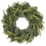 Venac grimshaw zeleni 80 tips | Eponuda.com