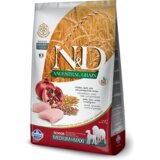 N&d Low Grain Hrana za starije pse Medium/Maxi Senior - 12kg | Eponuda.com