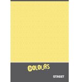 STREET Zvezek za disleksijo A4 1CM karo | Shoptok.si
