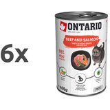 Ontario Cat Adult - goveja pašteta z lososom & spirulino 6 x 400 g | Shoptok.si
