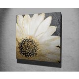 Opviq slika na platnu 45x45cm Cene