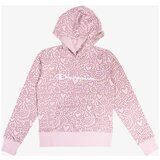 Champion Hooded sweatshirt Cene