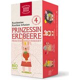 Demmers Teehaus BIO Quick-T KIDS princesa jagoda | Shoptok.si
