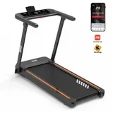 traka za trcanje sa 2 motora 2,5 HP (110kg) RX 143