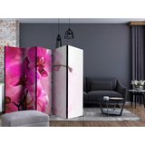 Artgeist Paravan Pink Orchid I, 5-Delni, Dvostranski | Shoptok.si