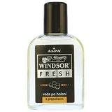 windsor fresh vibrator za prste 100 ml