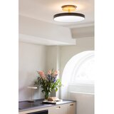 UMAGE antracitno siva led stropna svetilka ø 43 cm asteria up – | Shoptok.si