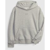 GAP Kids Hoodie - Boys Cijene