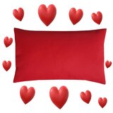 Shije Shete Valentino jastuk punjen heljdom/Jastuk za spavanje | shoptok.hr