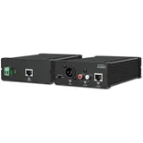 APG20MK2 audio converter Black