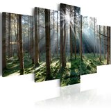  Slika - Fairytale Forest 100x50 Cijene