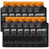 BioTech USA BioTechUSA Energy Gel – Energetski Gel za Izdržljivost i Energiju | Eponuda.com
