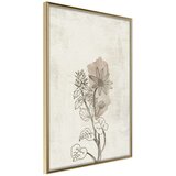  Poster - Life of Plants 20x30 Cijene