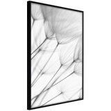  Poster - Gentle Blow 30x45 | shoptok.hr