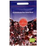 De Bolster Hrastova listnata solata "Red Salad Bowl" Cene