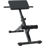 Hyperextension klupa 120 kg Sklopiva i Podesiva Čelik