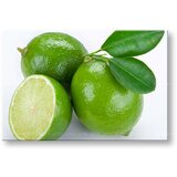  Slike na platnu kuhinja (moderne slike na platnu) | ePonuda.com
