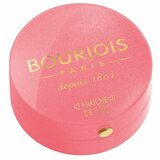  Rdečilo Little Round Bourjois Cene
