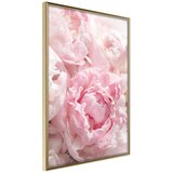  Poster - Abundance of Flowers 30x45 Cijene