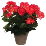 V Umjetni cvijet Begonija (Visina: 30 cm, Crvene boje, Plastika) Cijene