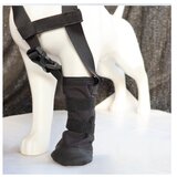 INF Zaščita Pasjih Tačk z Ovratnico - Zaščita Pred Poškodbami in Lizanjem XL, (5000124671) | Shoptok.si