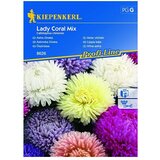 KIEPENKERL Profi-Line Sjeme cvijeća Lijepa kata Lady Coral Mix (Callistephus chinesis, Raznobojno) | shoptok.hr